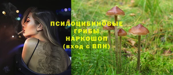 бошки Медногорск