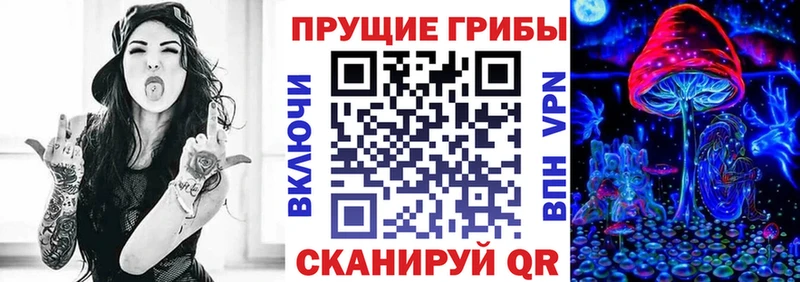 наркотики  mega ТОР  Псилоцибиновые грибы мухоморы  Усть-Джегута 