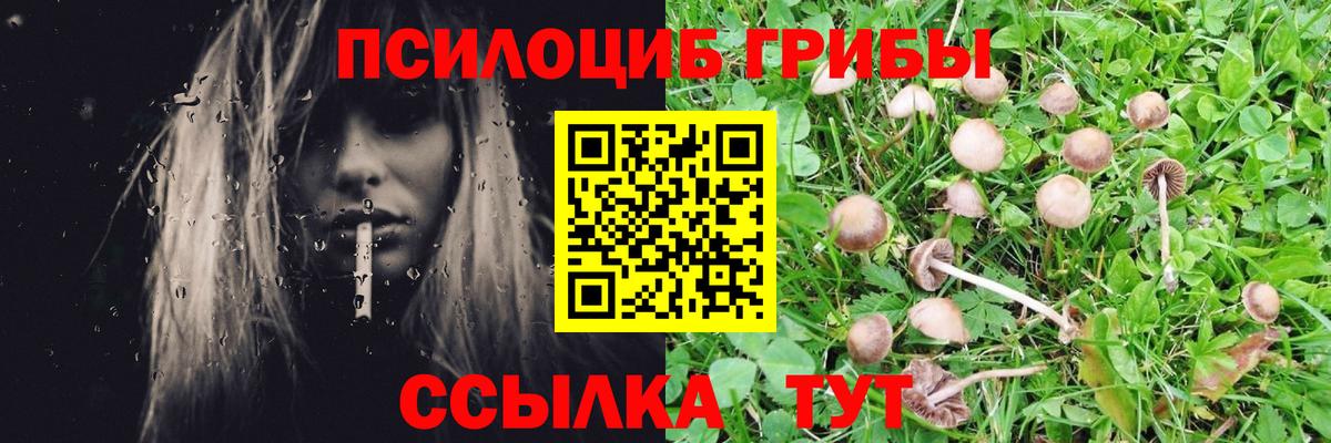 Псилоцибиновые грибы MAGIC MUSHROOMS Усть-Джегута