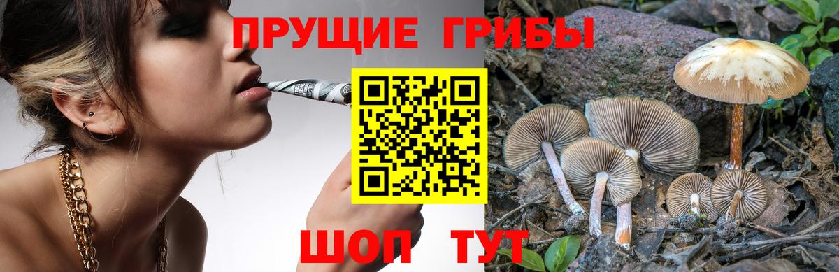 Усть-Джегута  Псилоцибиновые грибы MAGIC MUSHROOMS  дарнет шоп  Вход с VPN  Псилоцибиновые грибы мухоморы 